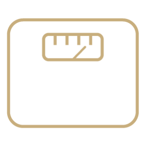説明テキスト